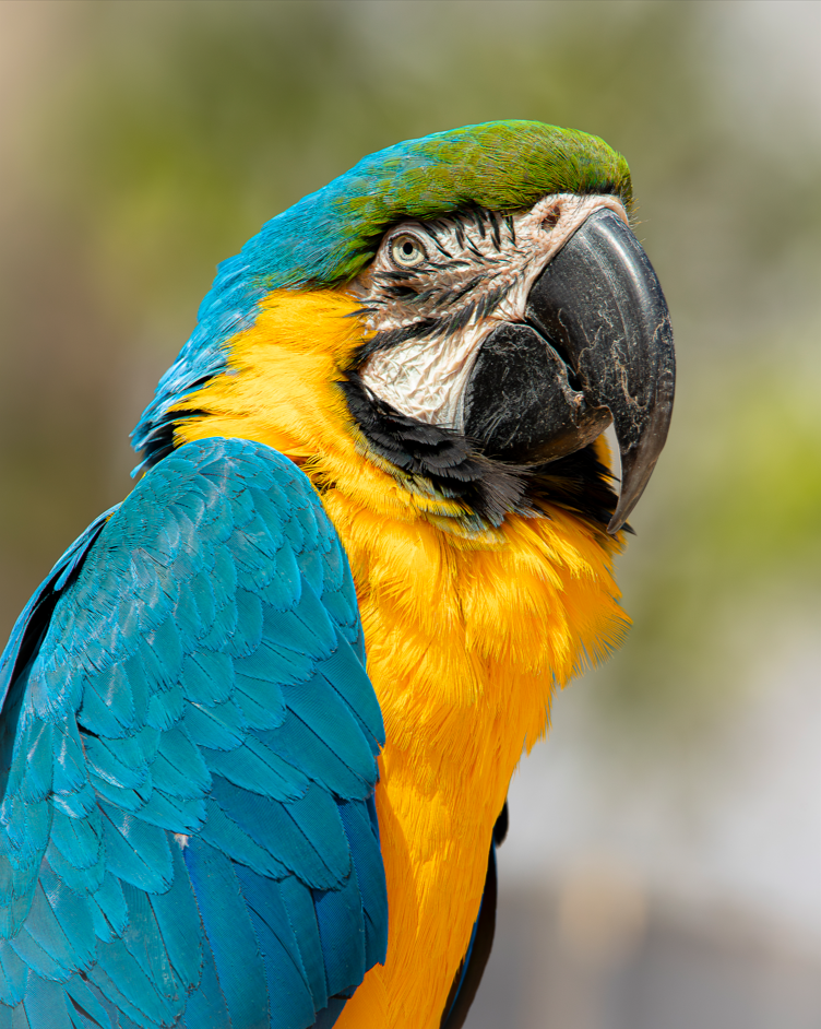 Screenshot (238).png