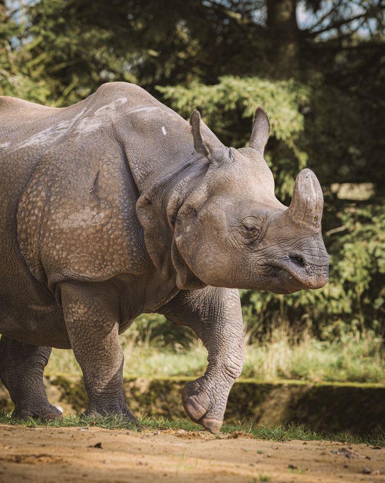 Screenshot (235).png