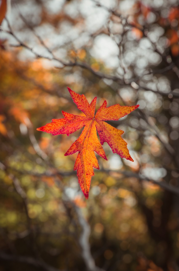 Screenshot (164).png