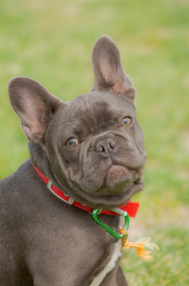 Screenshot (322).png