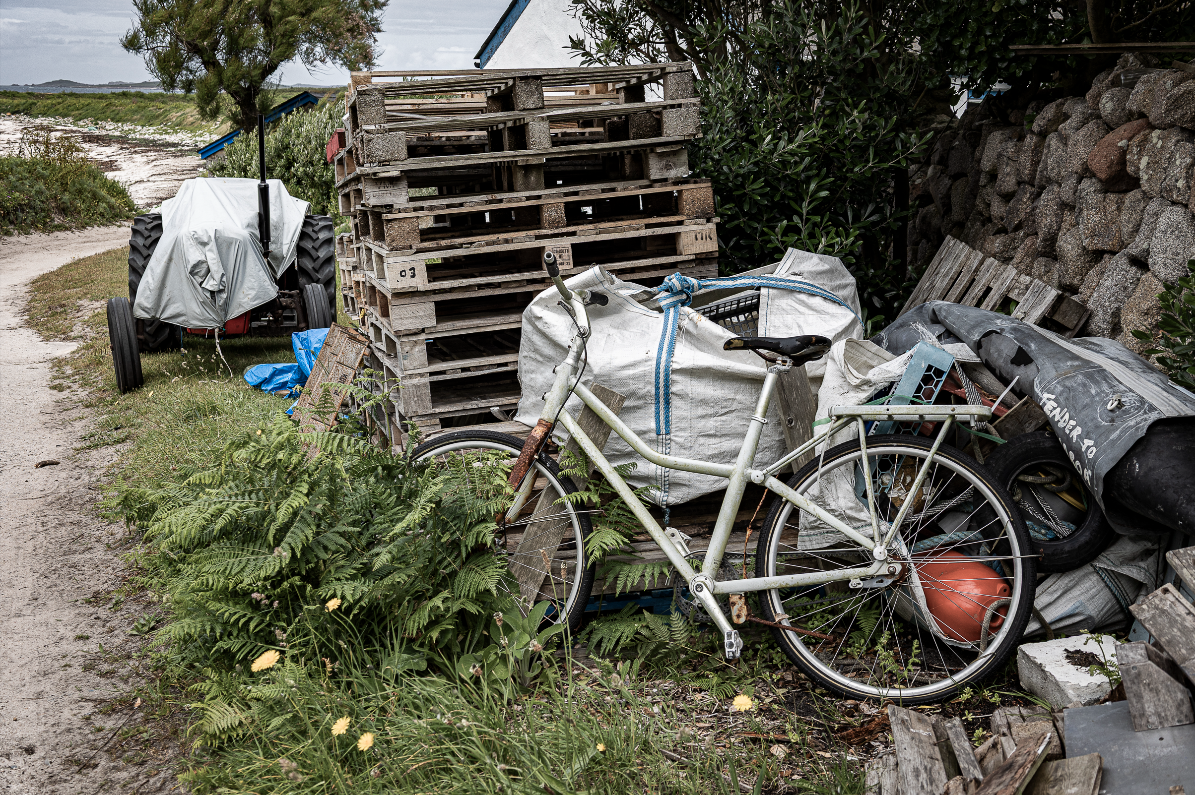 Screenshot 2026-02-05 121020.png