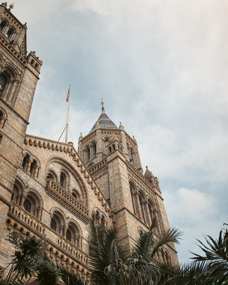 Screenshot (428).png