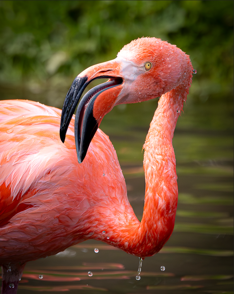 Screenshot (239).png