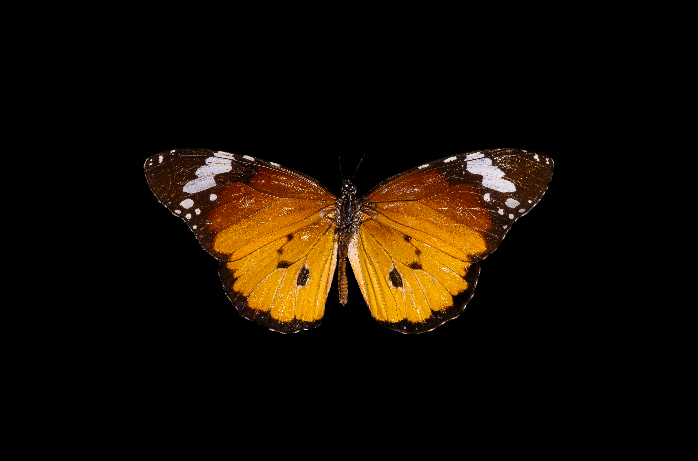 Screenshot 2025-12-20 231003.png