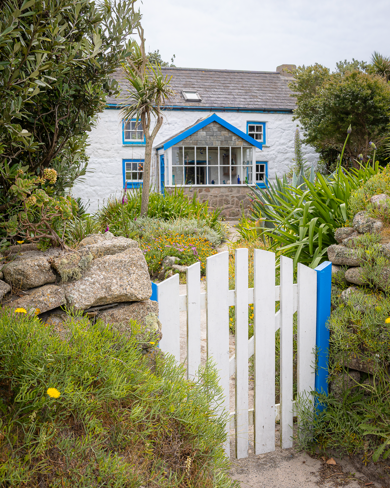 Screenshot 2026-02-05 121003.png