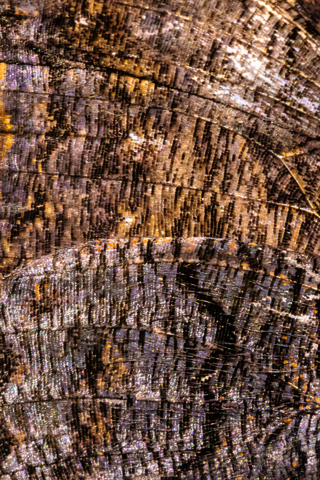 Screenshot 2025-12-20 231410.png