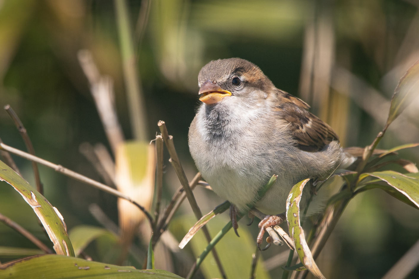 Screenshot (255).png