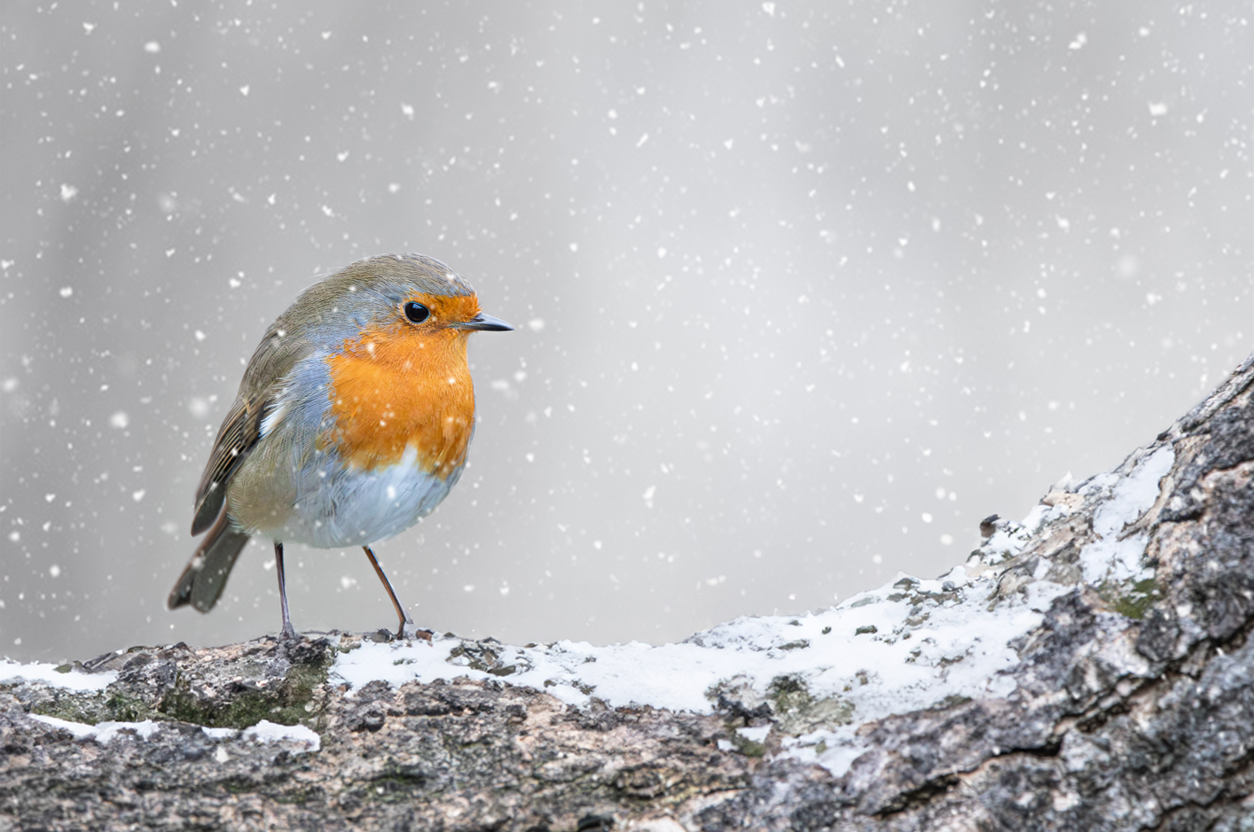 Screenshot (143).png