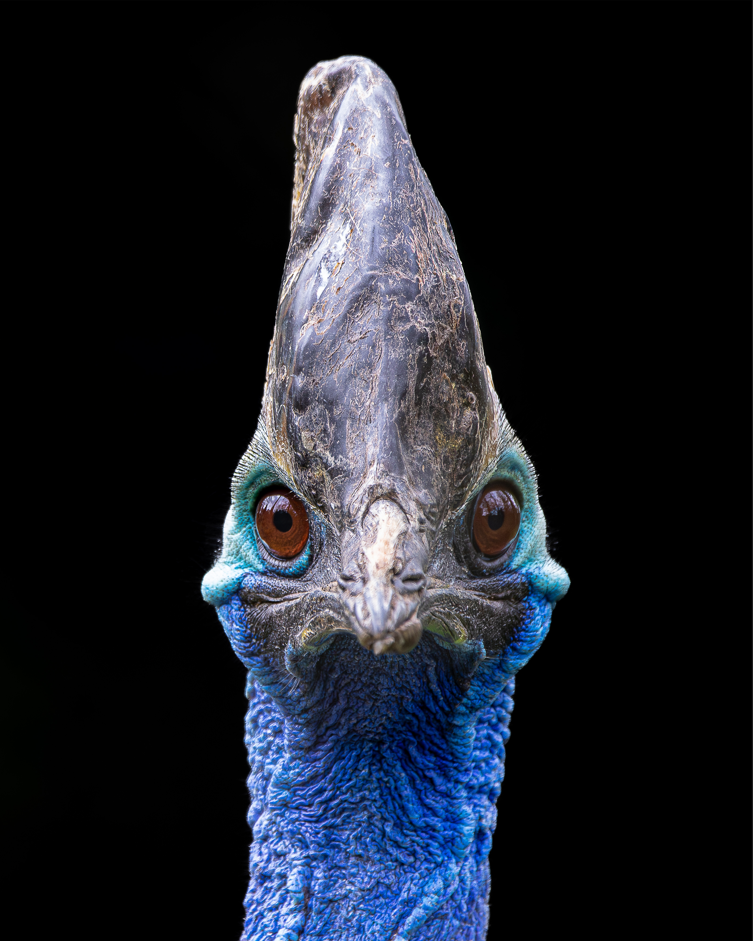 Screenshot (317).png