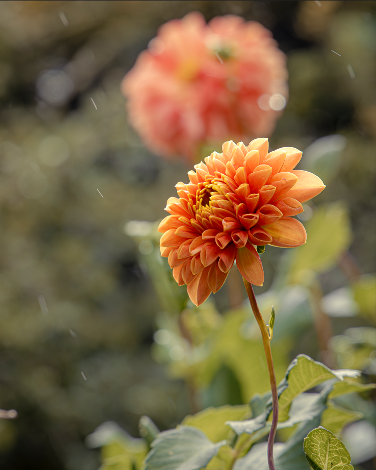 Screenshot (205).png