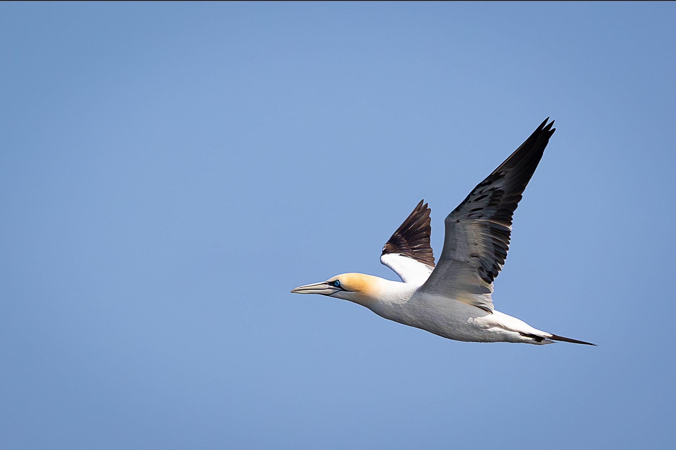 Screenshot 2026-02-04 230801.png