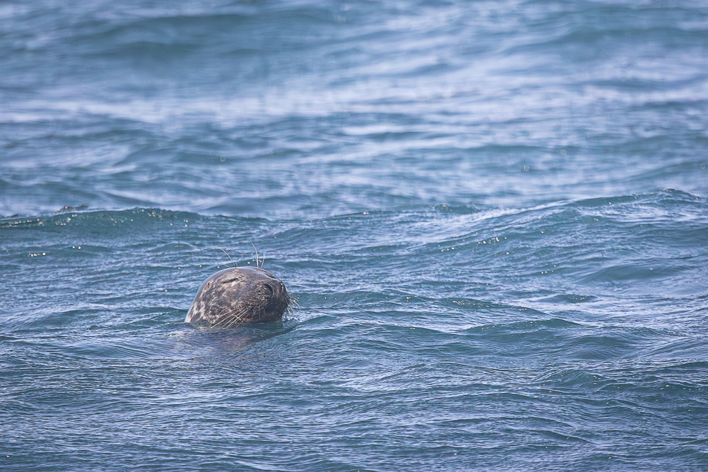 Screenshot 2026-02-05 133032.png