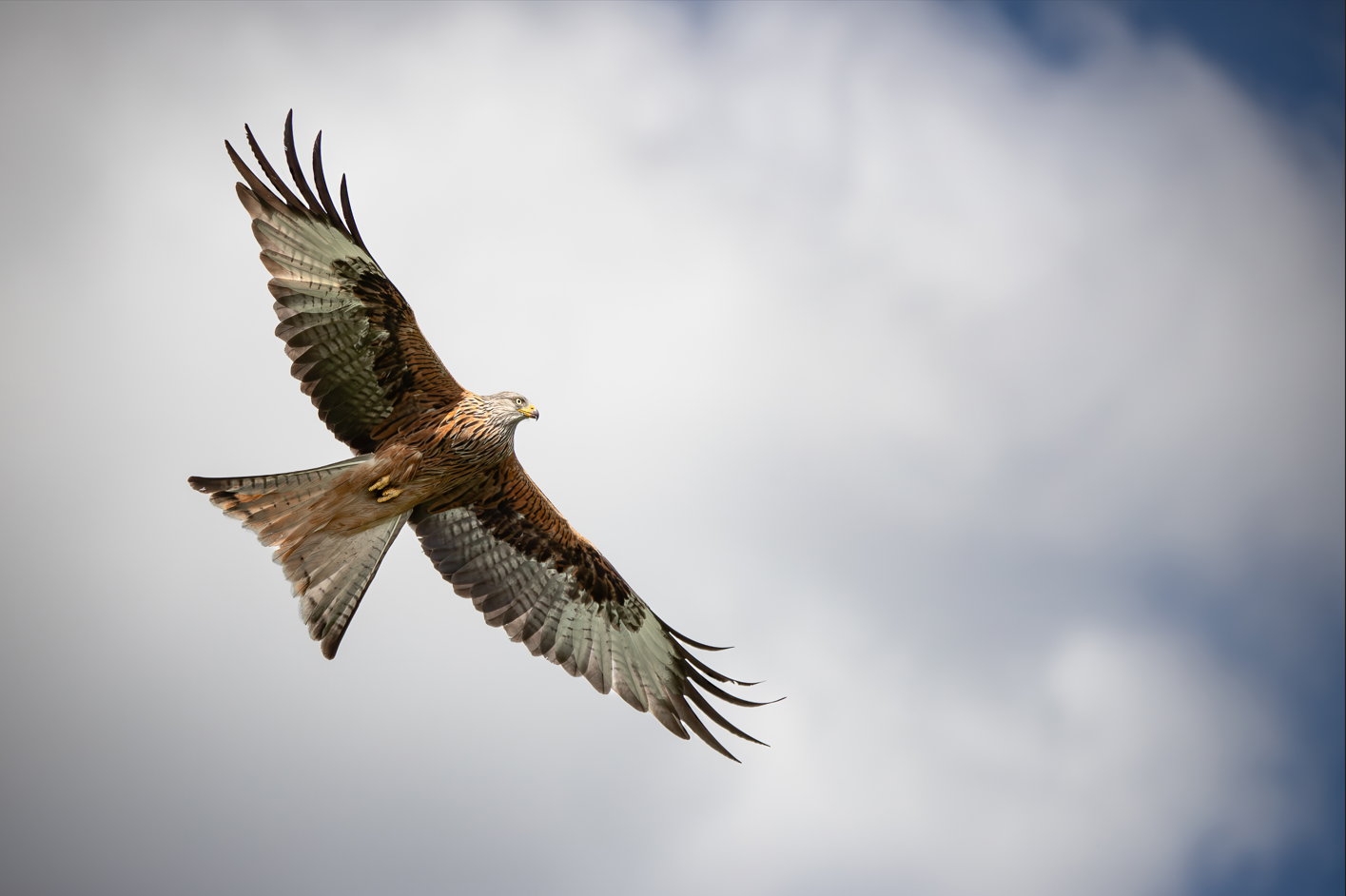 Screenshot (128).png