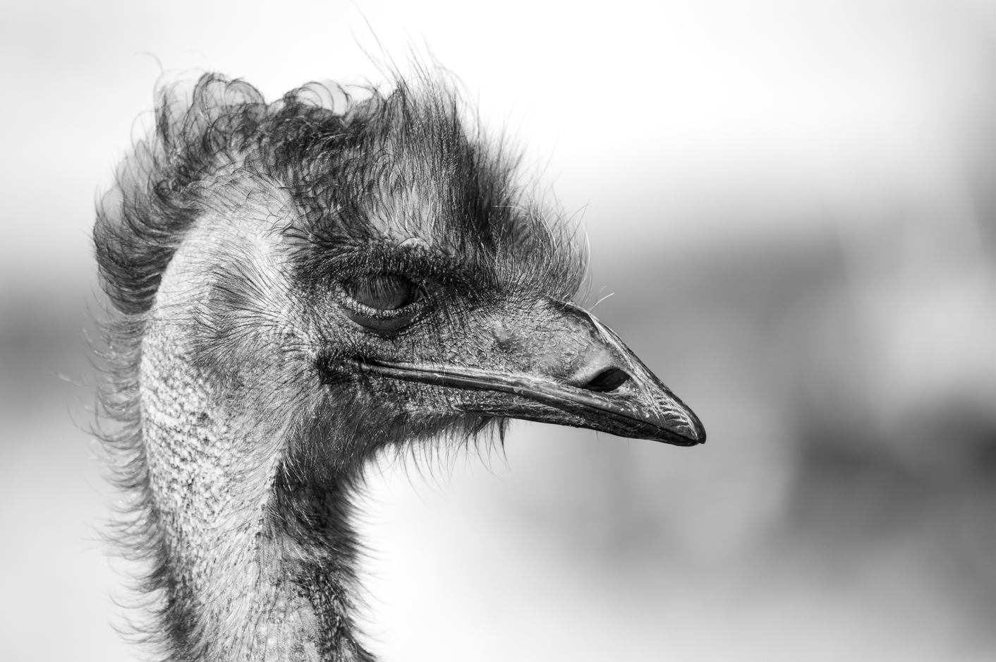 Screenshot (279).png