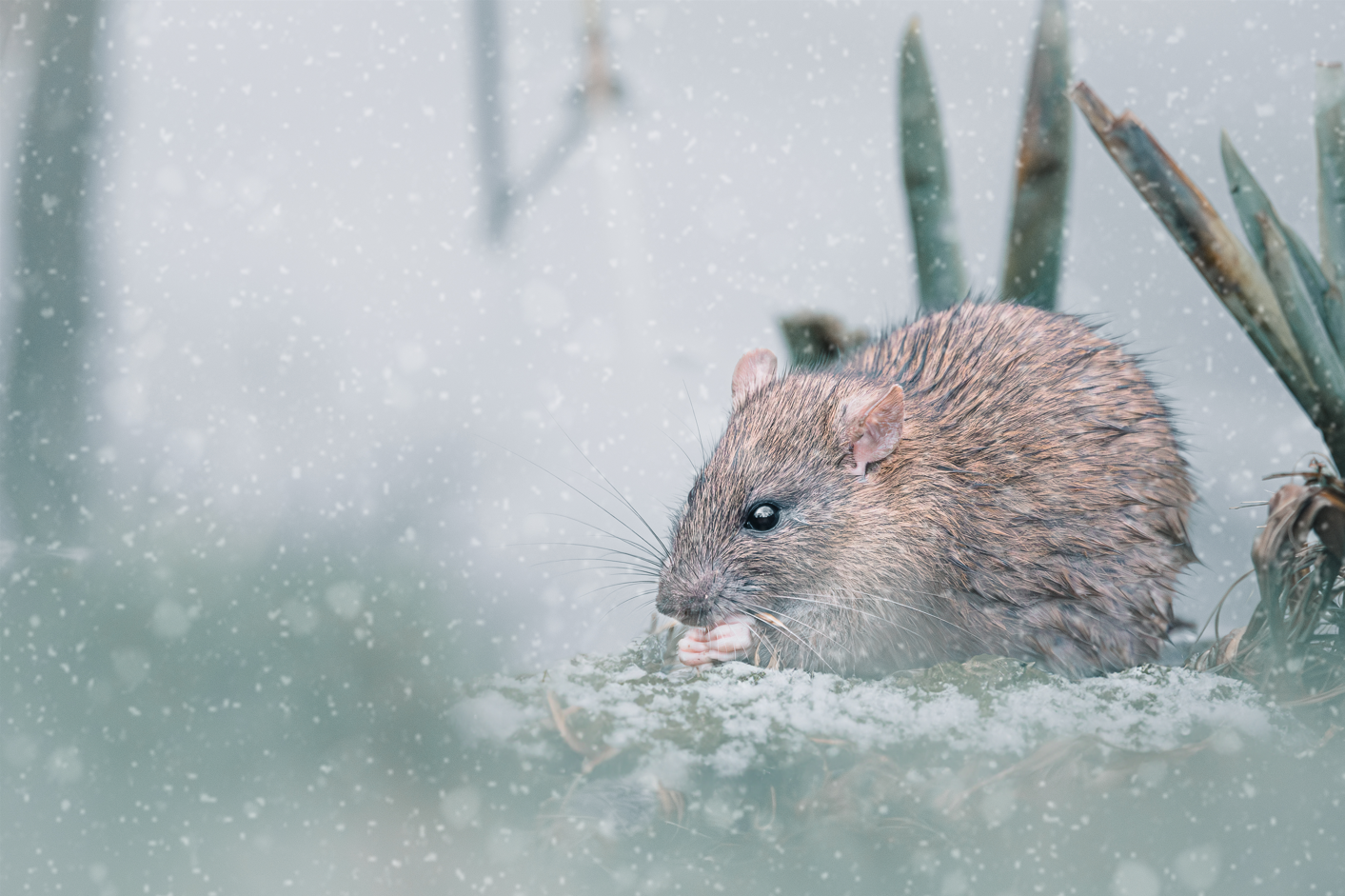 Screenshot (144).png