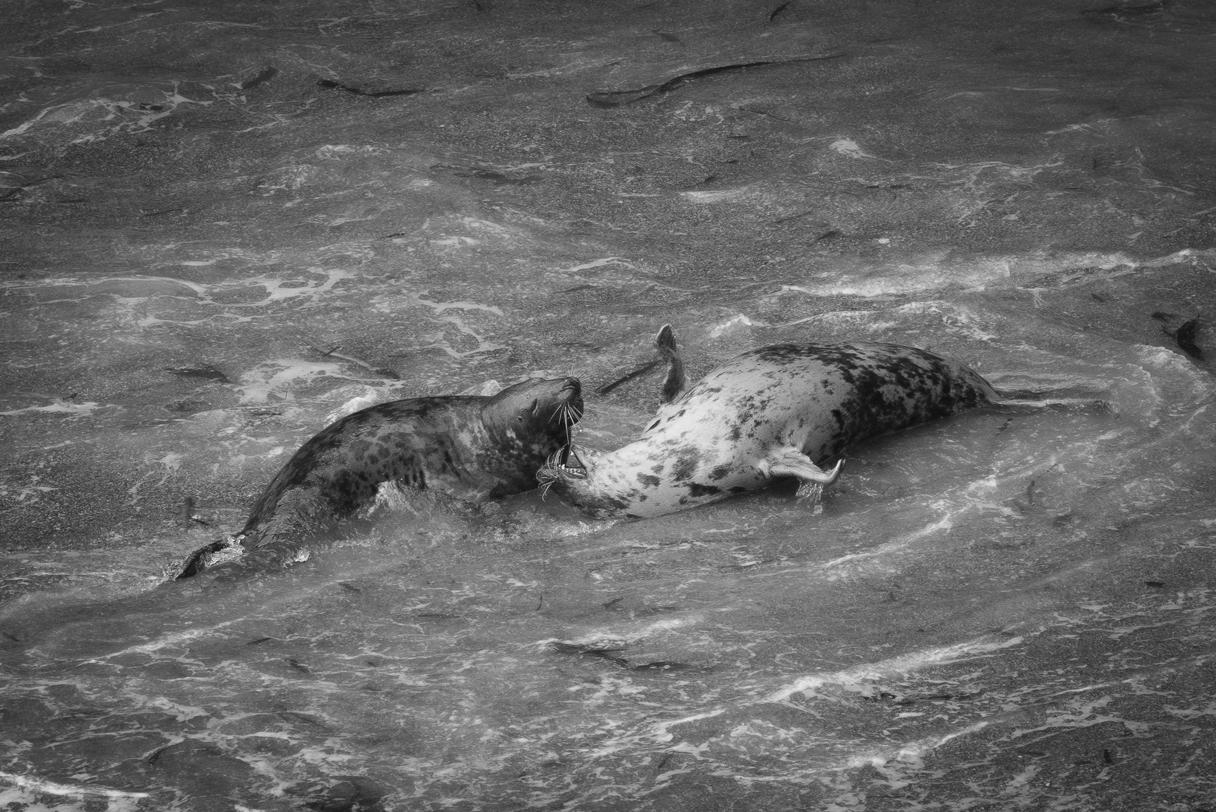 Screenshot 2026-02-04 224533.png