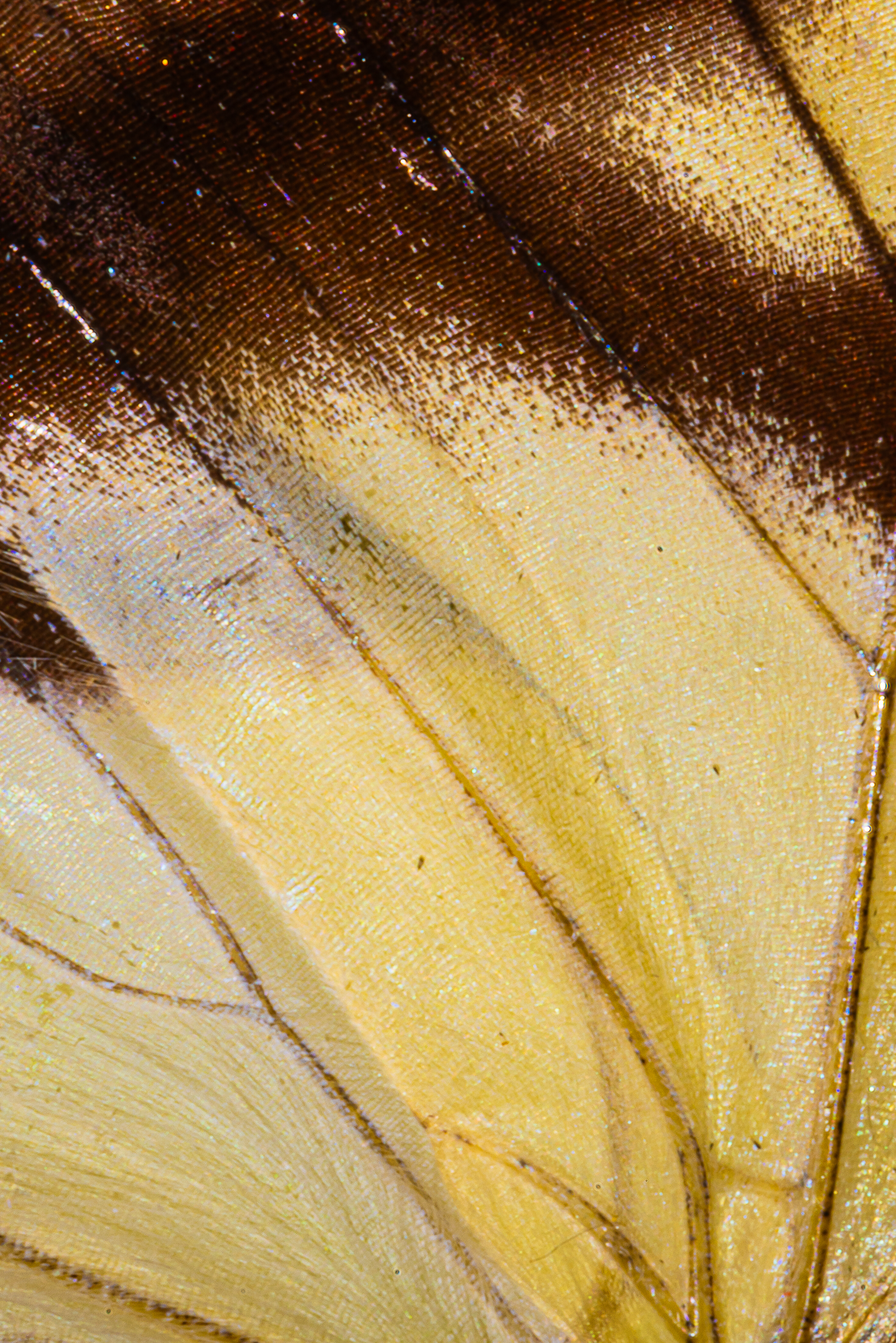 Screenshot 2025-12-20 231416.png