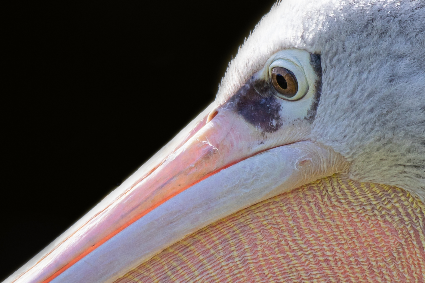 Screenshot (272).png