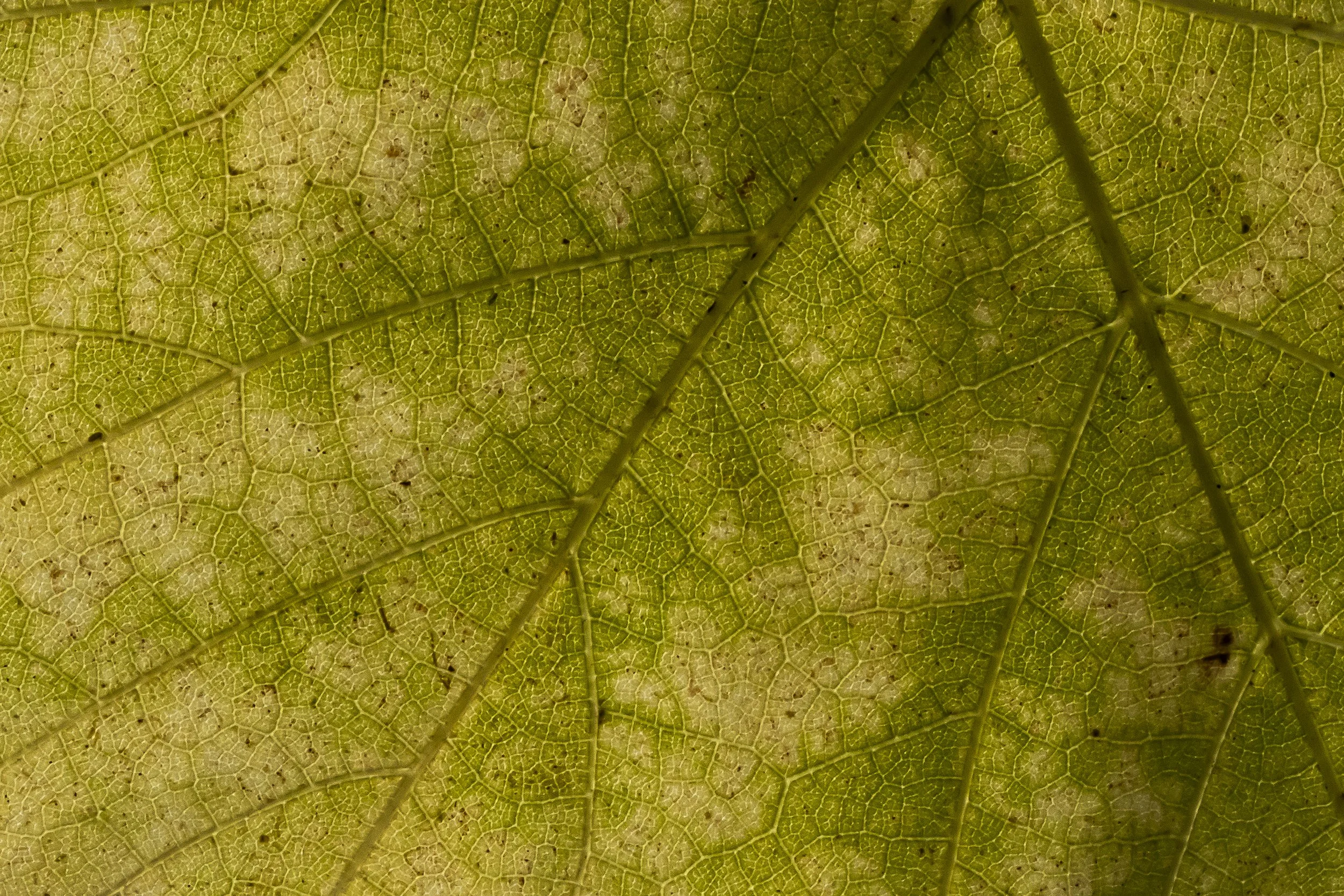 _92A9428.jpg