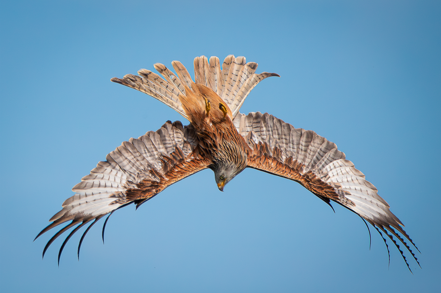 Screenshot (134).png