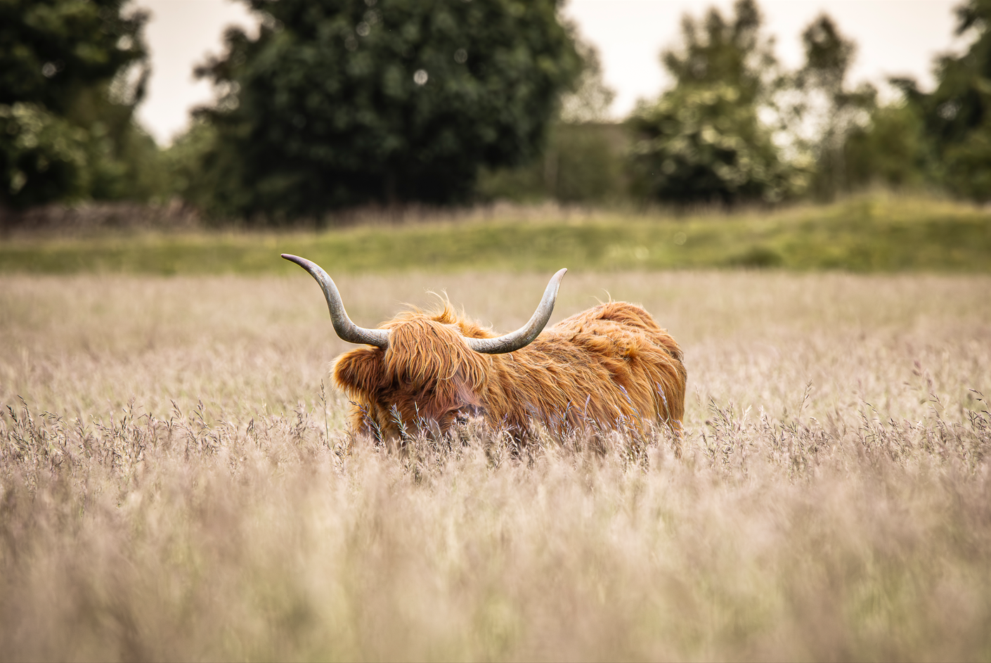 Screenshot (211).png