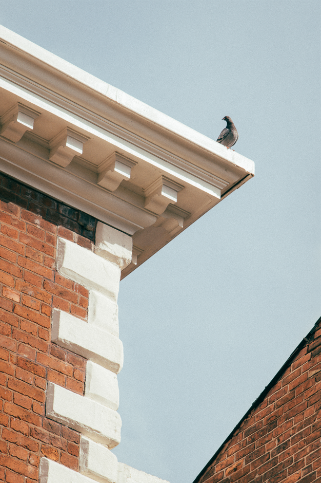 Screenshot (474).png