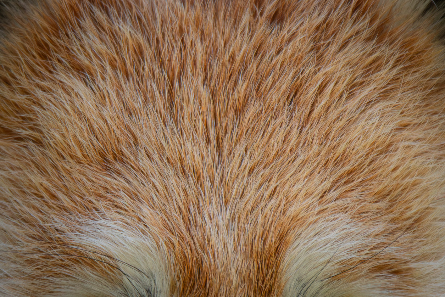 Screenshot (291).png