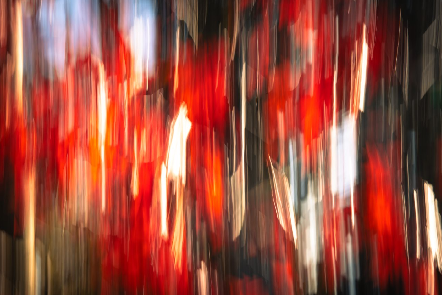 Screenshot (162).png