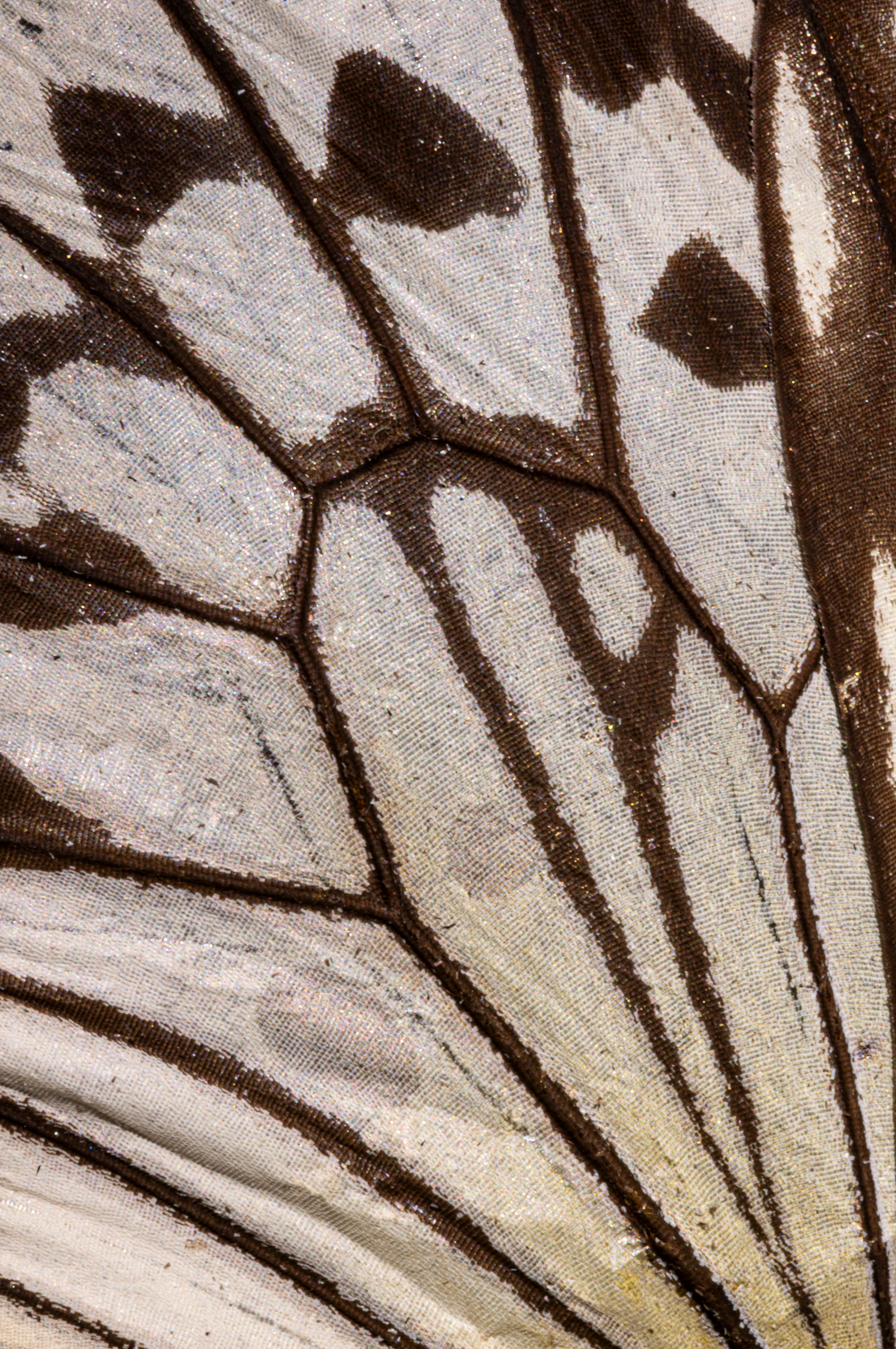 Screenshot 2025-12-20 231110.png