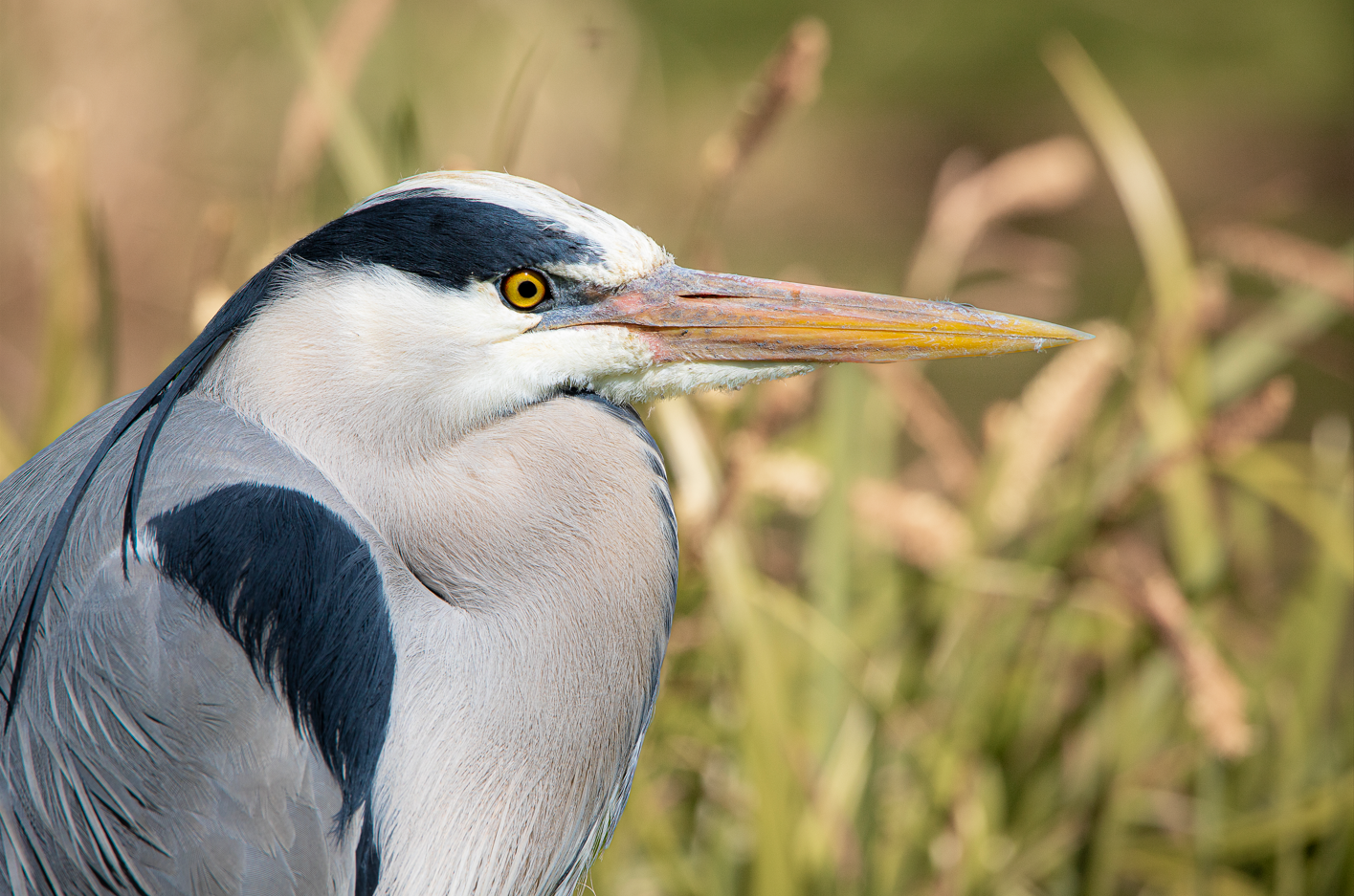 Screenshot (111).png