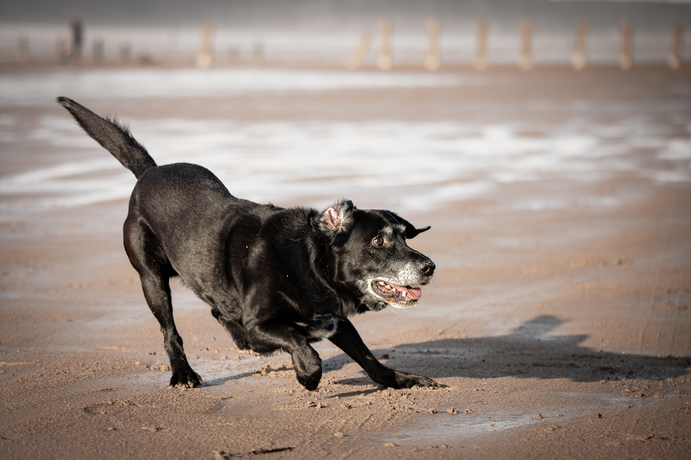 Screenshot (318).png