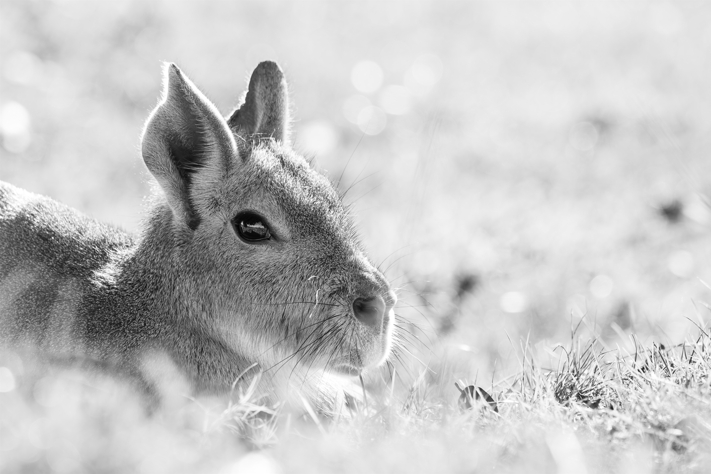 Screenshot (316).png