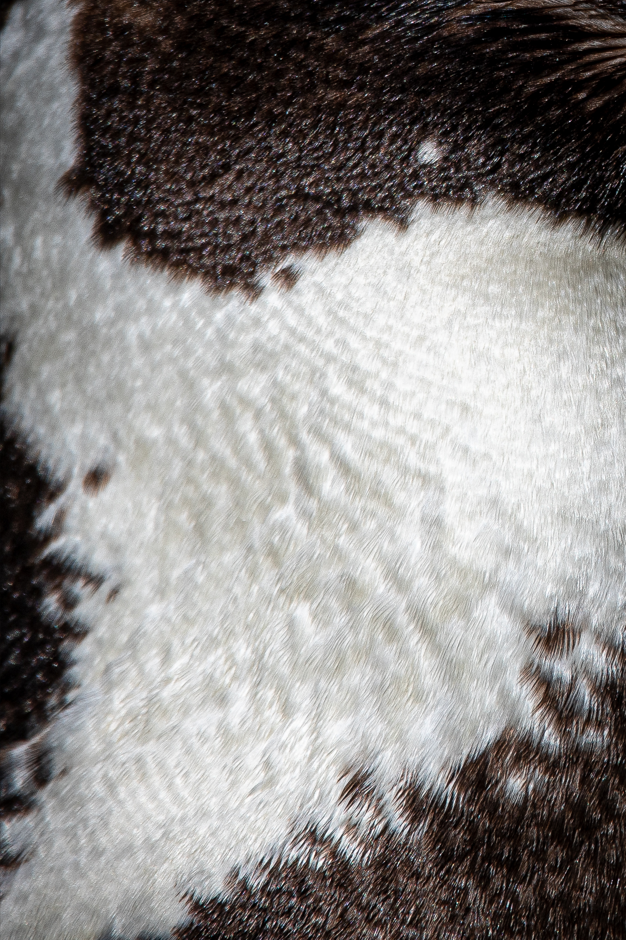 Screenshot (267).png