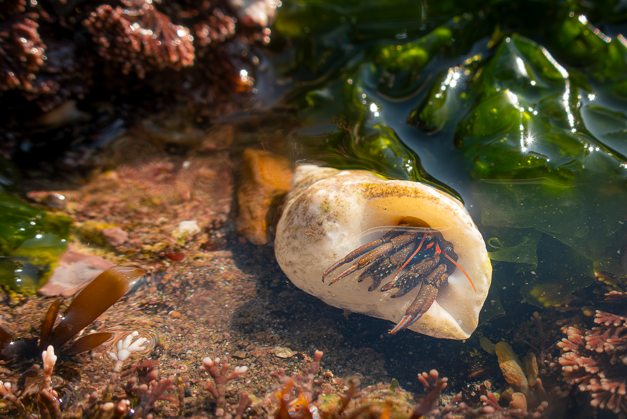 Screenshot 2025-05-22 220443.png