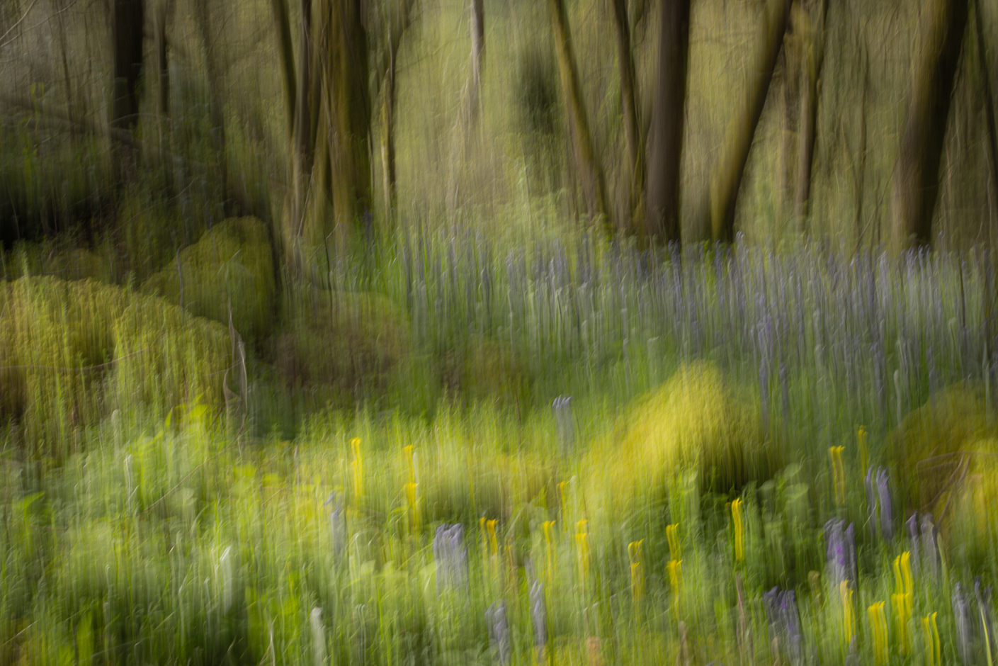 Screenshot (462).png