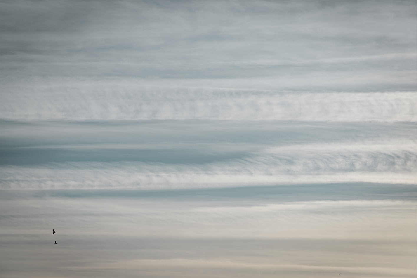 Screenshot (146).png