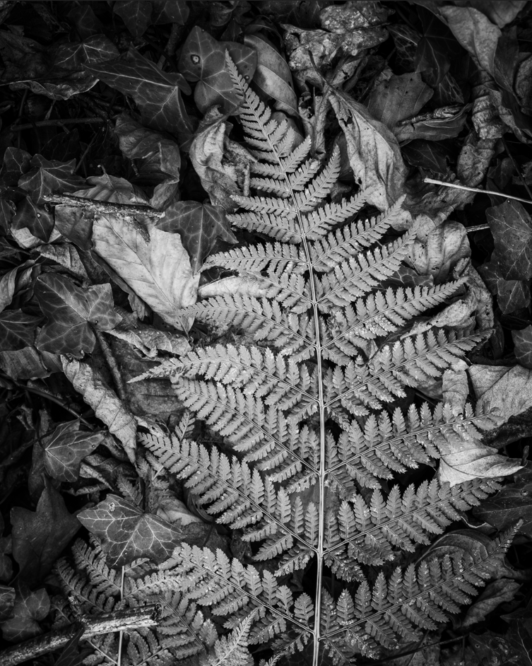 Screenshot (148).png