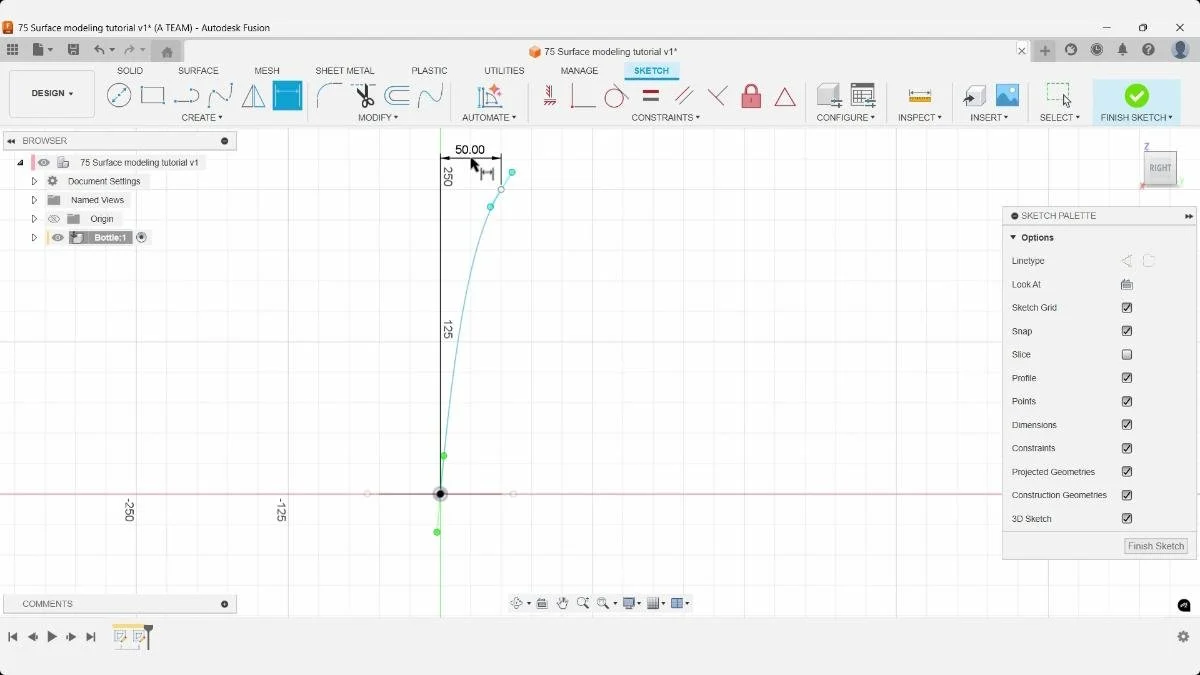 Bottle spline dimensioned 50 mm in Fusion sketch.