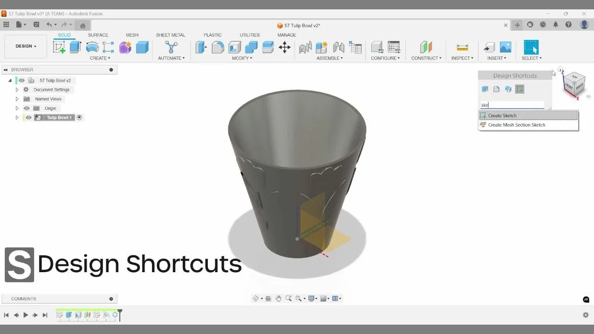 fusion sketch setup for project geometry on tulip bowl