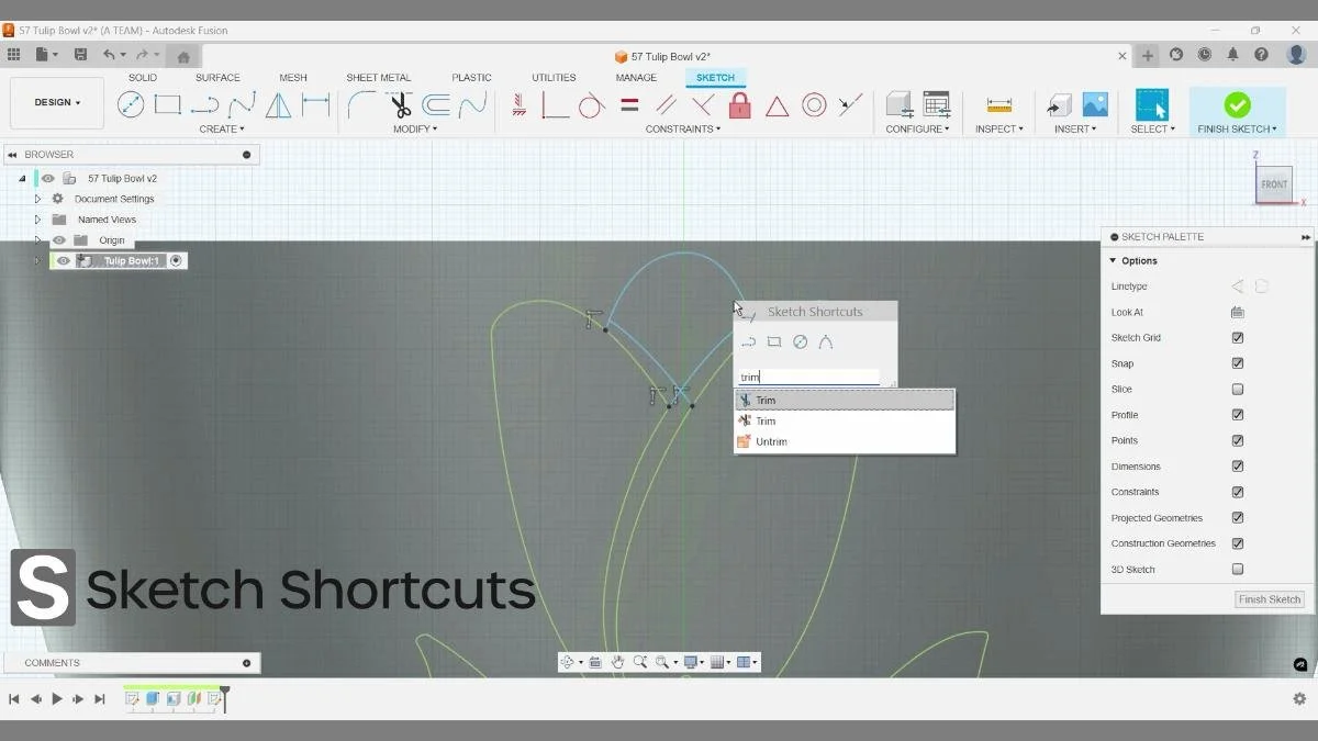 fusion sketch trim tool refining tulip petal curves