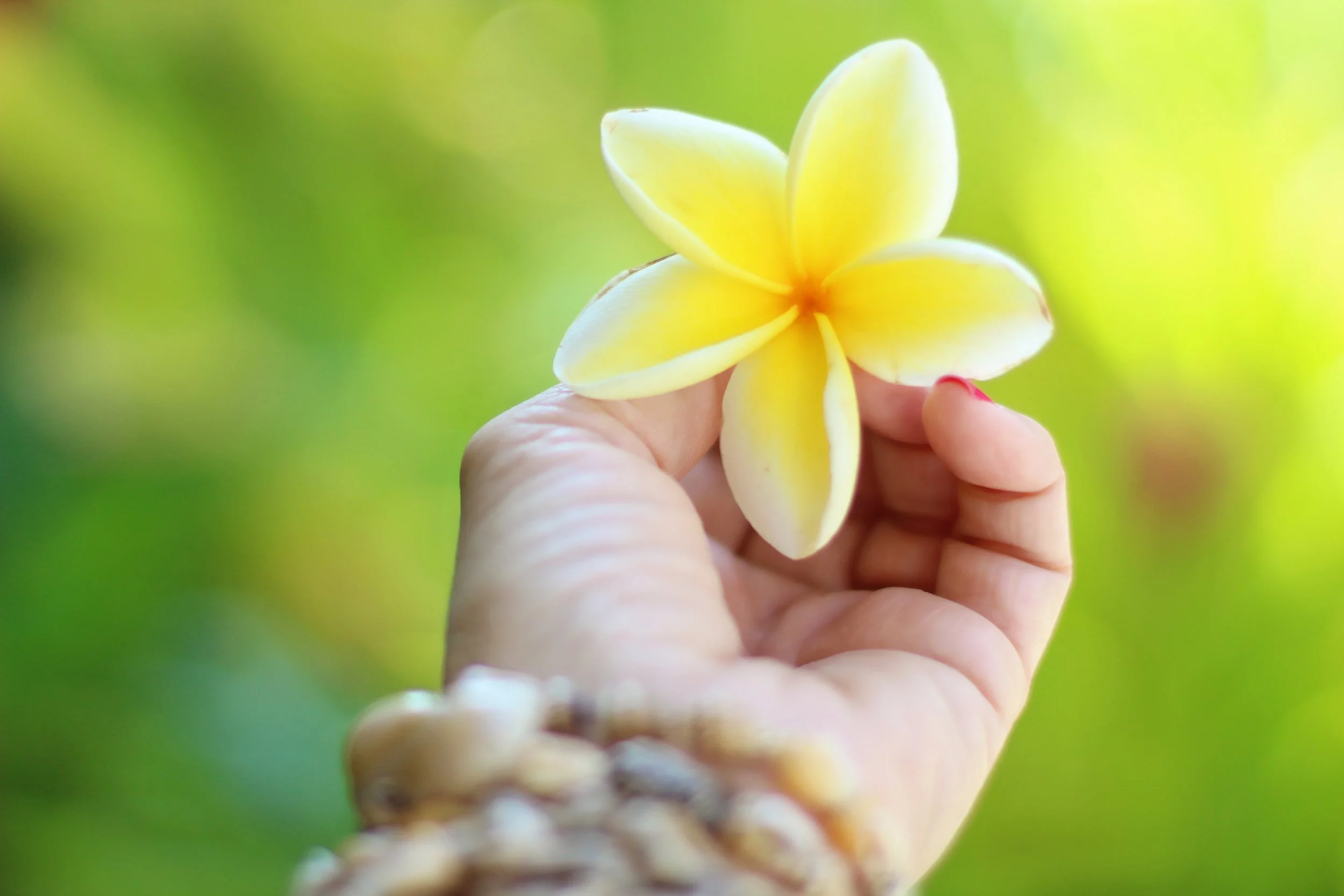 The Line Between "Good Business" and Being Human