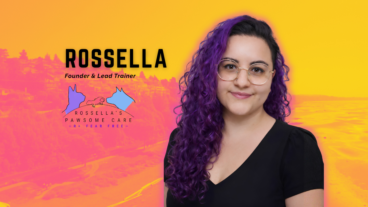 rossella2.png