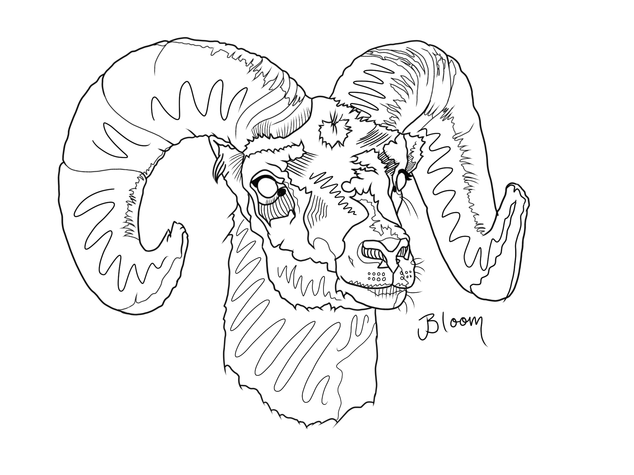Untitled_Artwork.png