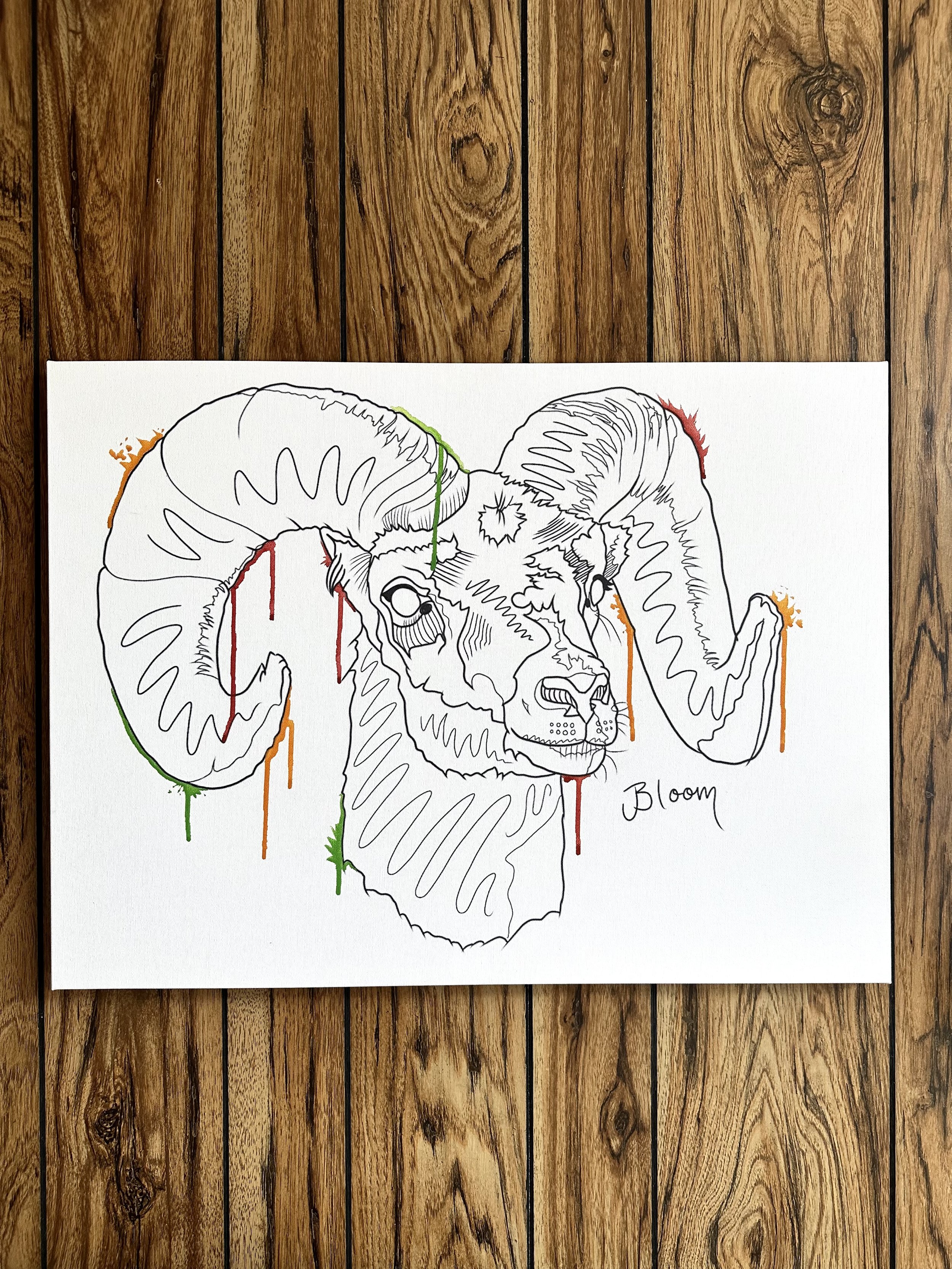 Black Sheep Framed Print