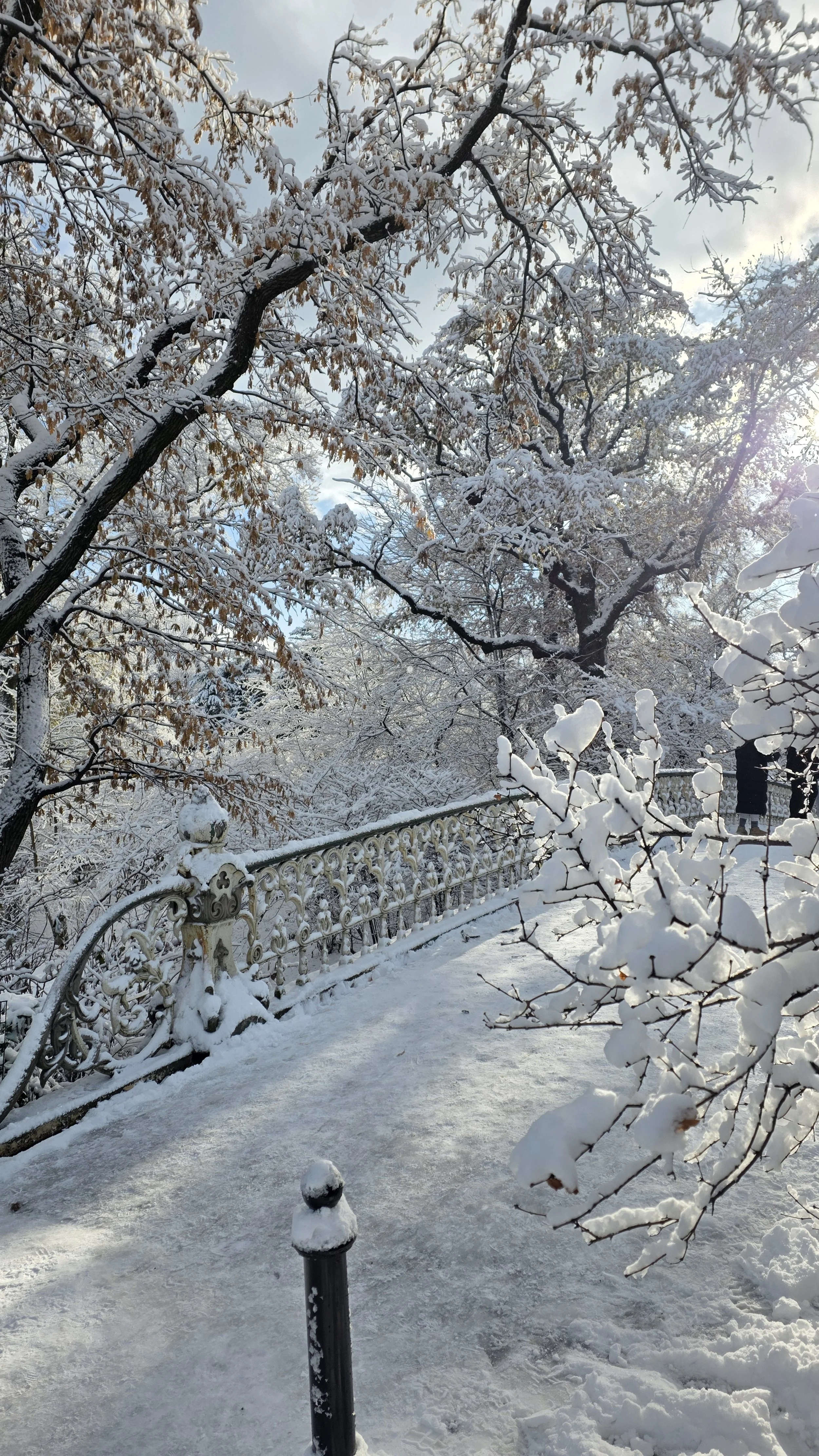 Walk Head First into Snowstorms