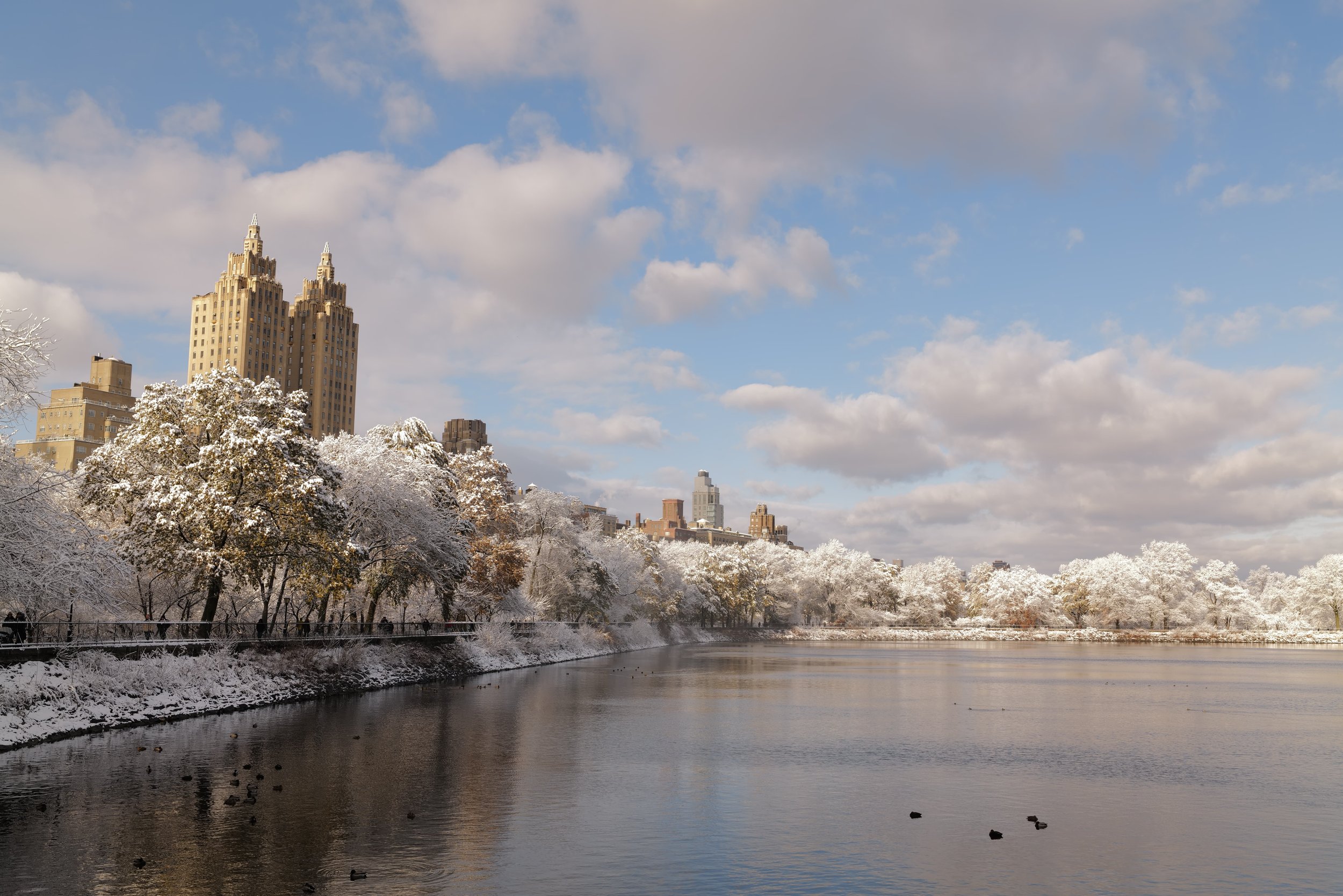 Snow-covered trees and buildings along a river under a cloudy blue sky.