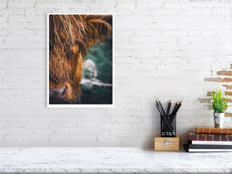 Unlimited Run Prints