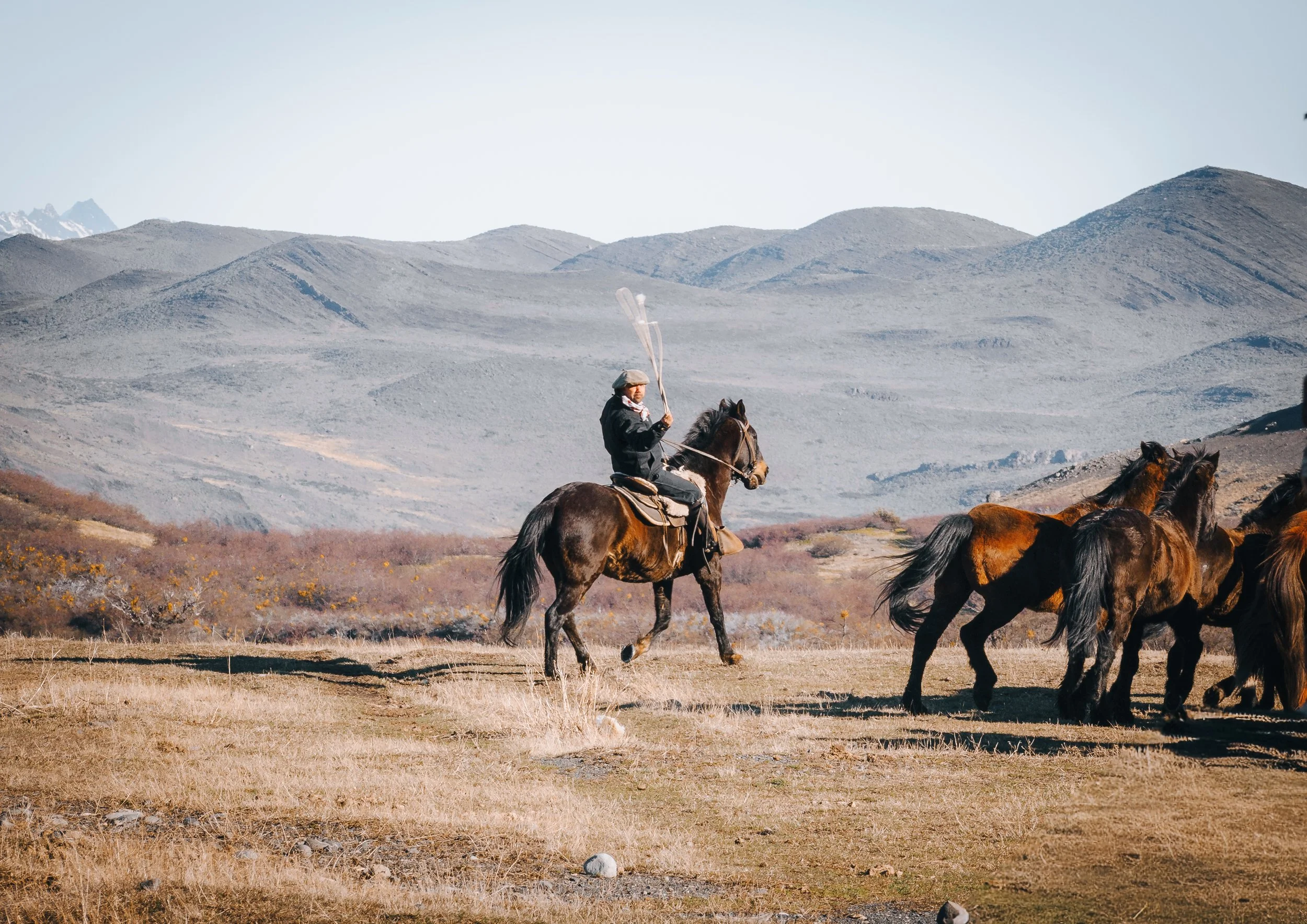 Guacho on horseback