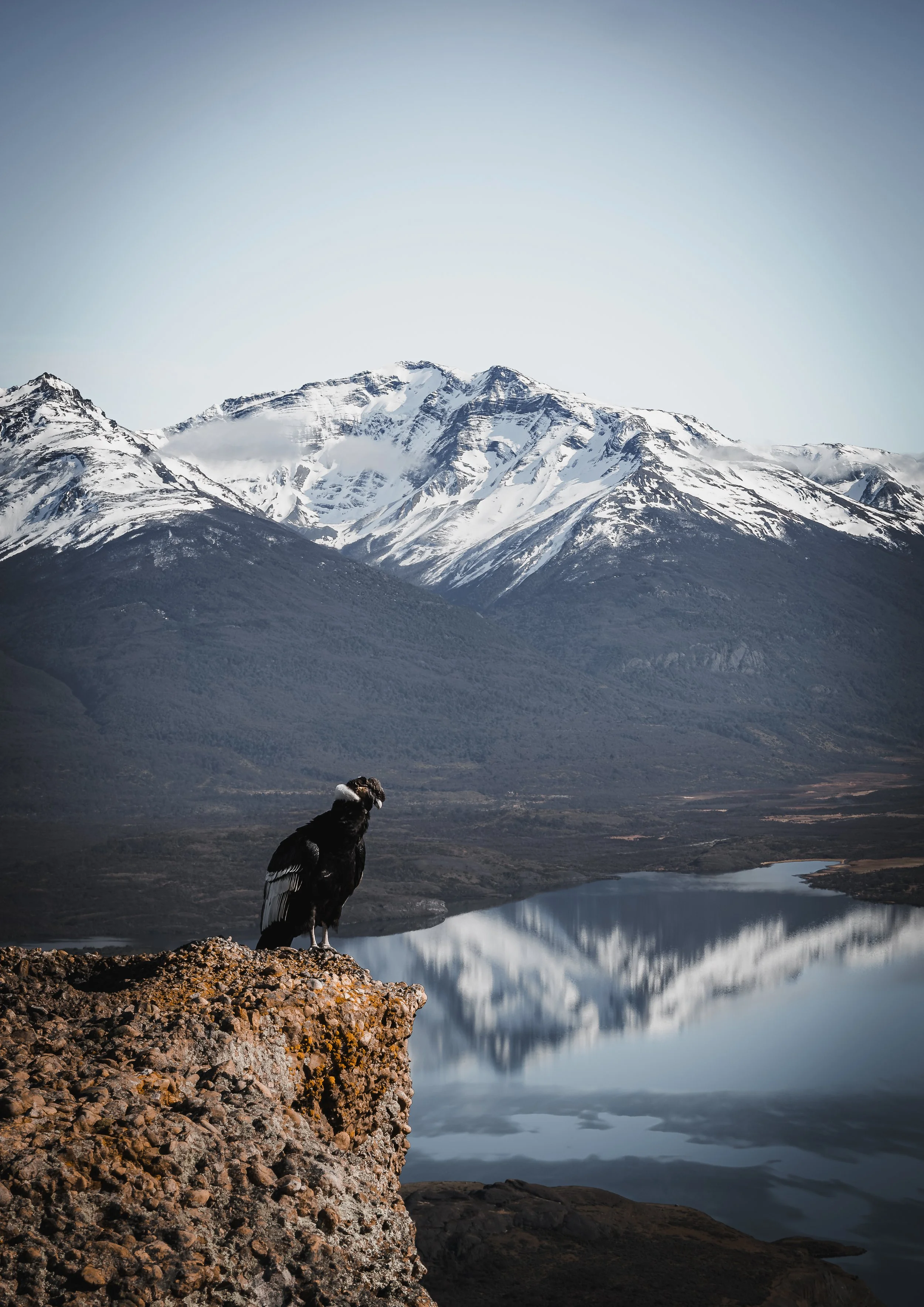 Cerro Benitez Chile