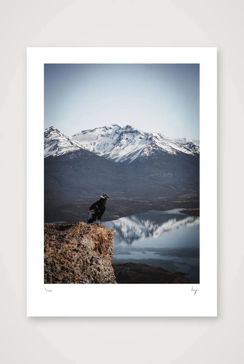 Cerro Benitez Chile